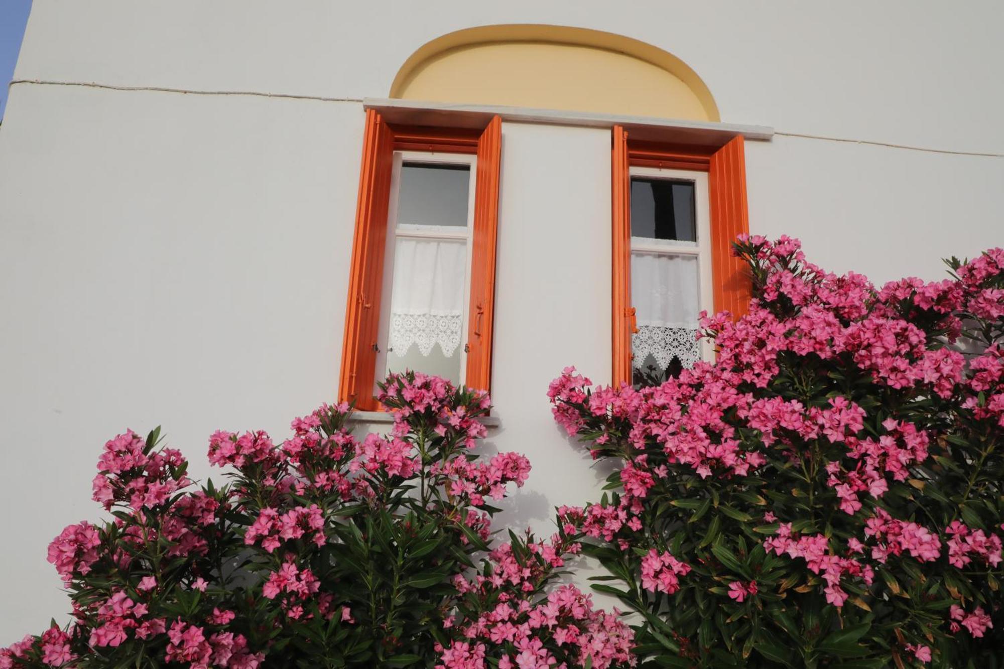 Panormos Apartments Dış mekan fotoğraf